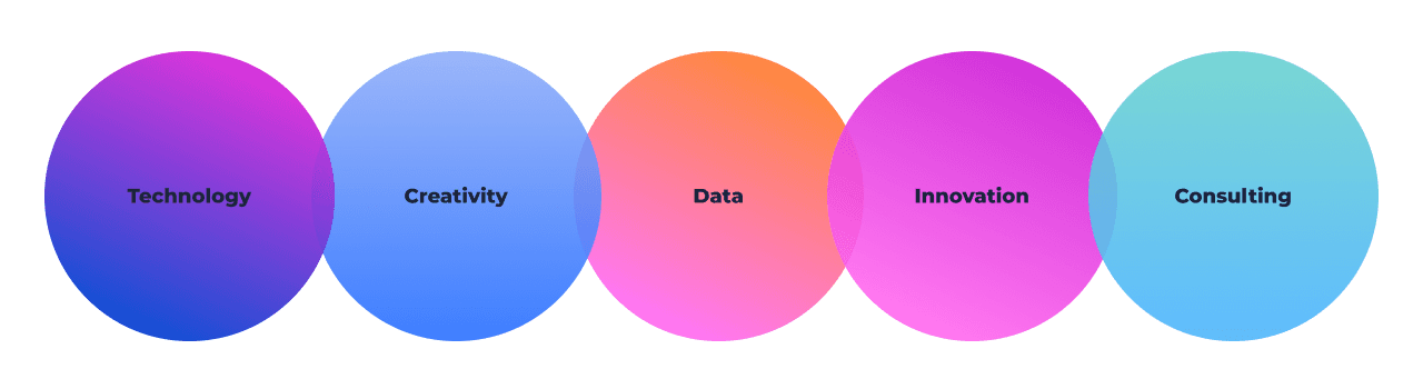 schema-expertise